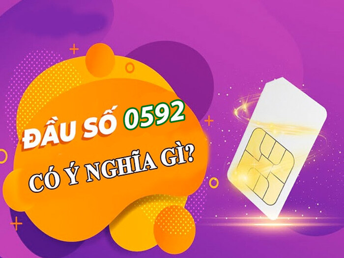 Giải thích ý nghĩa của các con số trong đầu sim 0592